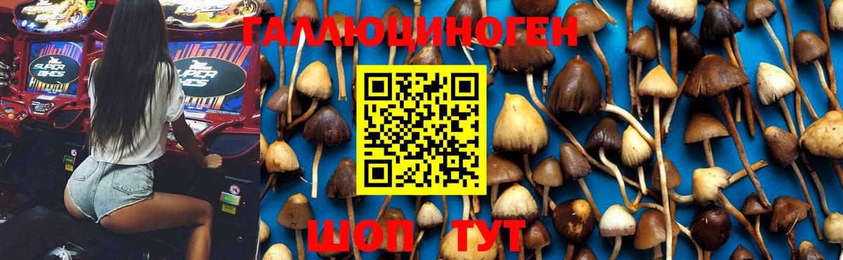Галлюциногенные грибы MAGIC MUSHROOMS Кузнецк
