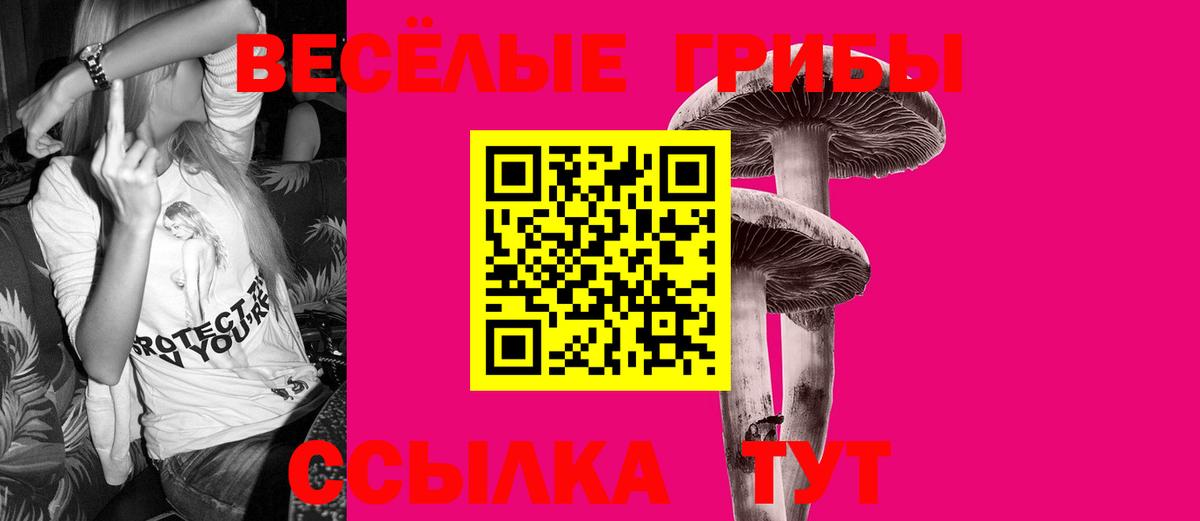 Кузнецк  Псилоцибиновые грибы MAGIC MUSHROOMS  Вход с VPN 